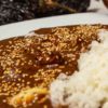 MOLE ROJO CON POLLO - Imagen 3