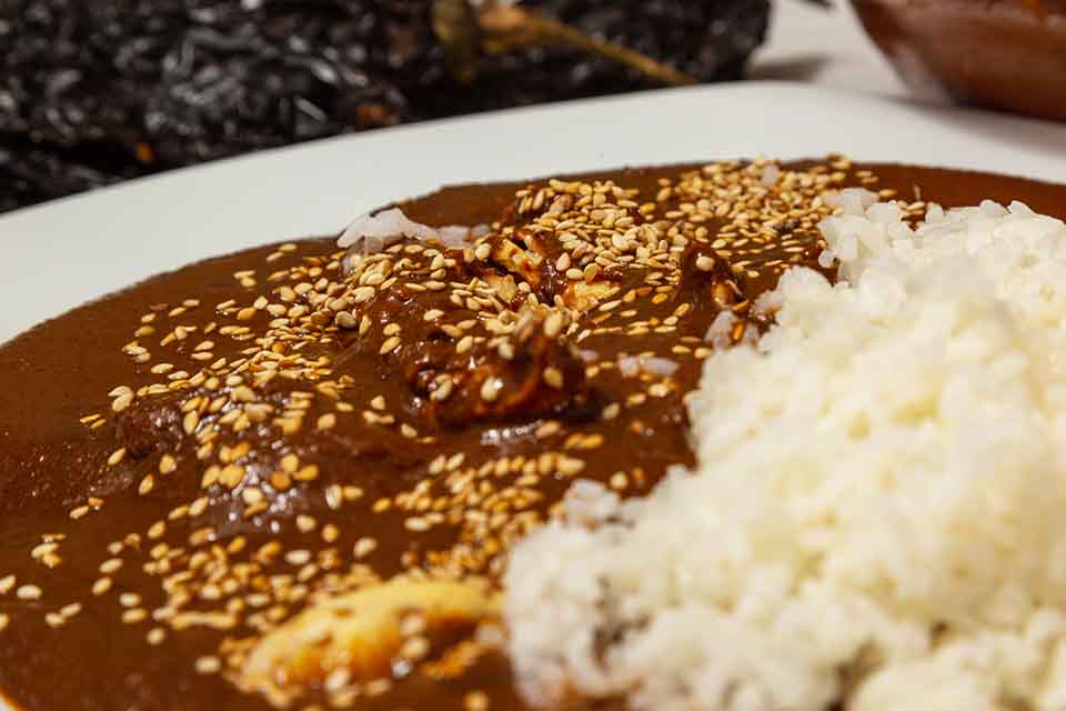 MOLE ROJO CON POLLO – La Sagrada Comida